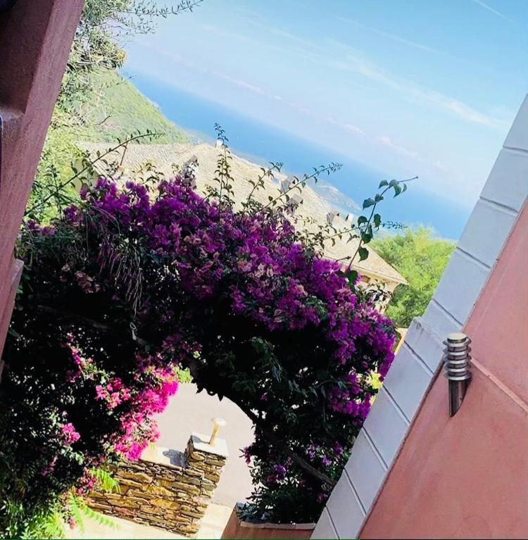 U Sant'Agnellu Hotel Rogliano Екстериор снимка