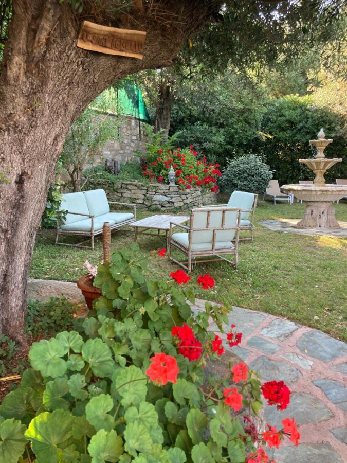 U Sant'Agnellu Hotel Rogliano Екстериор снимка