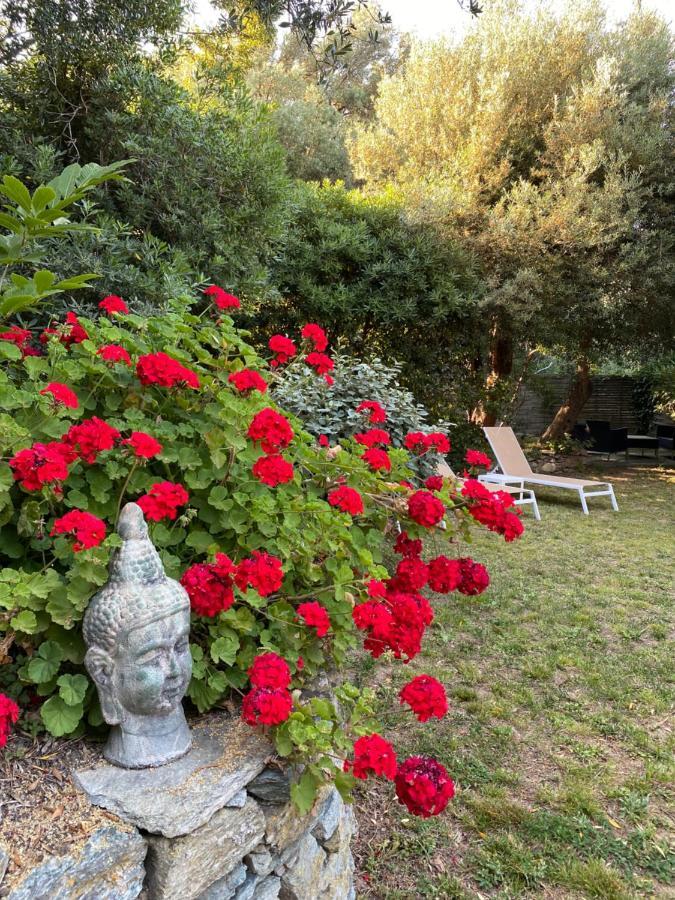 U Sant'Agnellu Hotel Rogliano Екстериор снимка