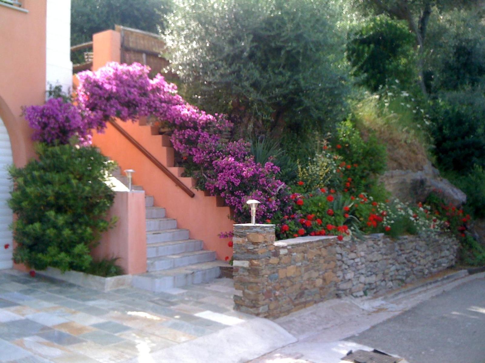 U Sant'Agnellu Hotel Rogliano Екстериор снимка